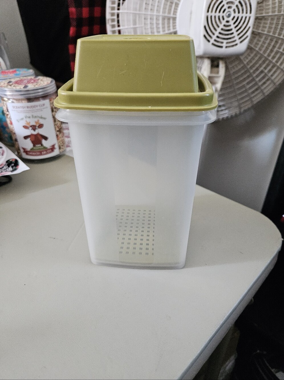 Tupperware Pickle Container